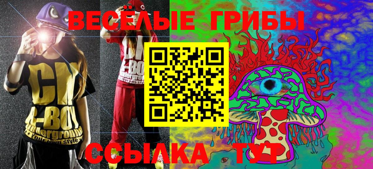 Псилоцибиновые грибы Cubensis Среднеуральск